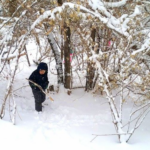 Screenshot 2025-12-10 at 3.30.54 PM